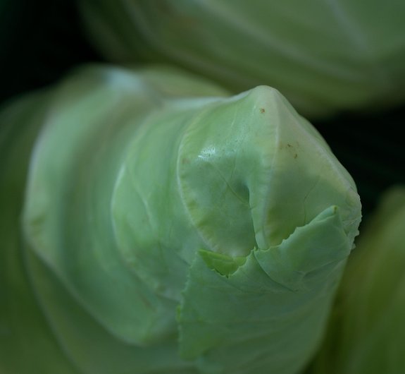 slider 1