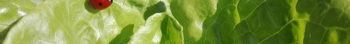 adds